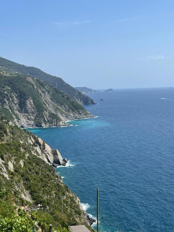 La Grigua Blu Apartment Riomaggiore Ngoại thất bức ảnh