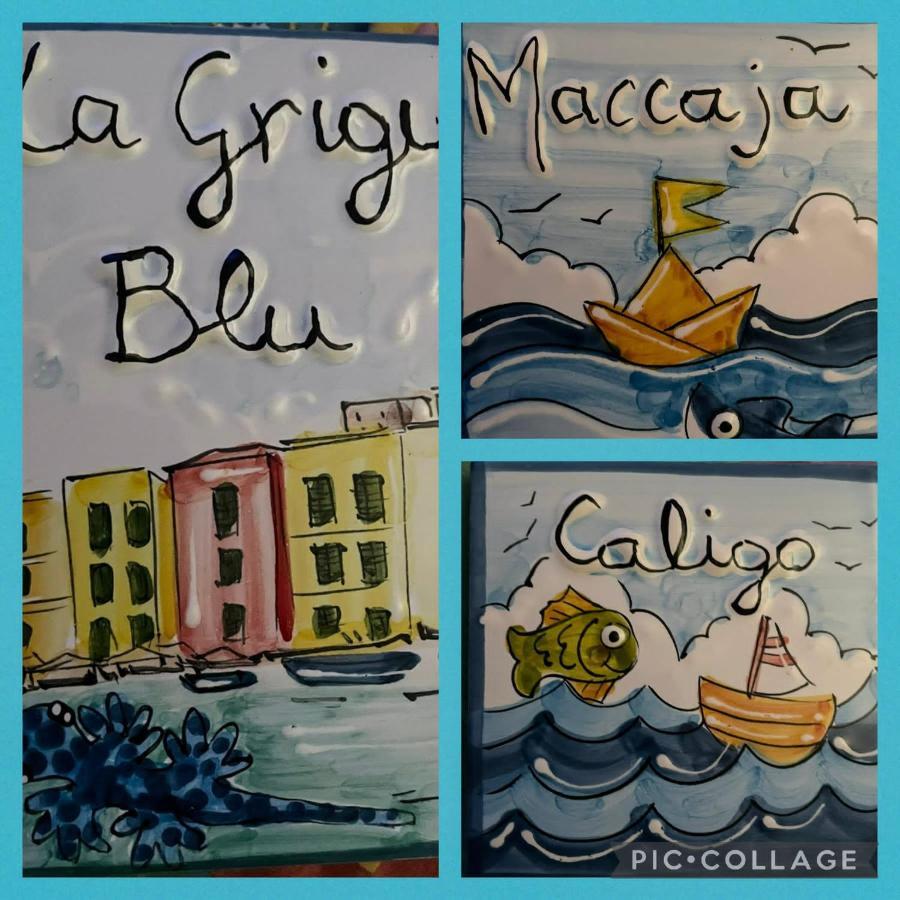 La Grigua Blu Apartment Riomaggiore Ngoại thất bức ảnh